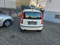 Fiat Panda 1.4 8V Natural Power,Klima,CD,El.Fenster Weiß - thumbnail 4