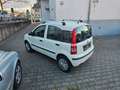 Fiat Panda 1.4 8V Natural Power,Klima,CD,El.Fenster Weiß - thumbnail 6