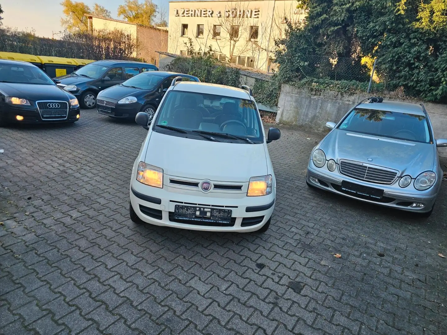 Fiat Panda 1.4 8V Natural Power,Klima,CD,El.Fenster Weiß - 2