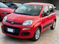 Fiat Panda New 1.2 69 cv. EASY Rosso - thumbnail 2