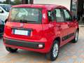 Fiat Panda New 1.2 69 cv. EASY Rosso - thumbnail 4
