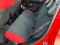 Fiat Panda New 1.2 69 cv. EASY Rosso - thumbnail 12