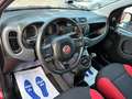 Fiat Panda New 1.2 69 cv. EASY Rosso - thumbnail 8