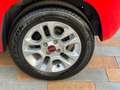 Fiat Panda New 1.2 69 cv. EASY Rosso - thumbnail 5