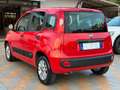 Fiat Panda New 1.2 69 cv. EASY Rosso - thumbnail 3