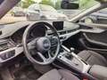 Audi A4 Avant 2.0 TDI MANUAL SPORT PRO LINE! 2016 Grau - thumbnail 13