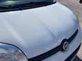 Fiat Panda Panda 0.9 t.air t. natural power Bianco - thumbnail 3