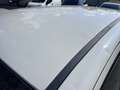 Fiat Panda Panda 0.9 t.air t. natural power Bianco - thumbnail 4