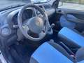 Fiat Panda 1.2 Dynamic 60CV GPL/2028*NEOPATENTATI - thumbnail 8