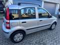 Fiat Panda 1.2 Dynamic 60CV GPL/2028*NEOPATENTATI - thumbnail 4