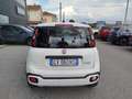 Fiat Panda 1.0 FireFly S&S Hybrid Bianco - thumbnail 6