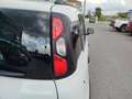 Fiat Panda 1.0 FireFly S&S Hybrid Bianco - thumbnail 9