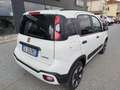 Fiat Panda 1.0 FireFly S&S Hybrid Bianco - thumbnail 7