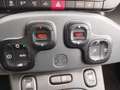 Fiat Panda 1.0 FireFly S&S Hybrid Bianco - thumbnail 22