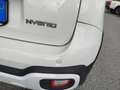 Fiat Panda 1.0 FireFly S&S Hybrid Bianco - thumbnail 11