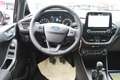 Ford Fiesta Fiesta 1,0 Titanium 5t Assist+Komfort+Winter-Paket Noir - thumbnail 10