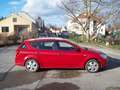 Kia Ceed SW / cee'd SW cee'd SW 1,4 CVVT Cool Cool Rot - thumbnail 2