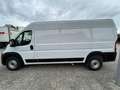 Fiat Ducato KASTENWAGEN MAXI 35 L3H2 180 AT Blanc - thumbnail 12