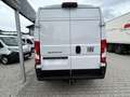 Fiat Ducato KASTENWAGEN MAXI 35 L3H2 180 AT Blanc - thumbnail 5