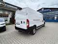Fiat Ducato KASTENWAGEN MAXI 35 L3H2 180 AT Blanc - thumbnail 4