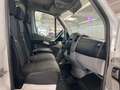 Mercedes-Benz Sprinter 313 CDI Kastenwagen *Garantie* White - thumbnail 14