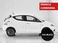 Lancia Ypsilon 1.0 FireFly 5 porte S&S Hybrid Platino - thumbnail 2