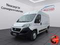 Fiat Ducato 2.0 MJET 115 CV(PM-TM-L2H2)E6B-SENSORI-BLUETOOTH Weiß - thumbnail 1