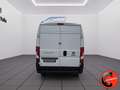 Fiat Ducato 2.0 MJET 115 CV(PM-TM-L2H2)E6B-SENSORI-BLUETOOTH Weiß - thumbnail 6