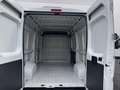 Fiat Ducato 2.0 MJET 115 CV(PM-TM-L2H2)E6B-SENSORI-BLUETOOTH Weiß - thumbnail 14