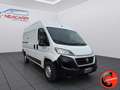 Fiat Ducato 2.0 MJET 115 CV(PM-TM-L2H2)E6B-SENSORI-BLUETOOTH Weiß - thumbnail 4