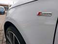 Audi A1 Sportback sport S-Line Pano Bose Xenon DAB Blanc - thumbnail 5