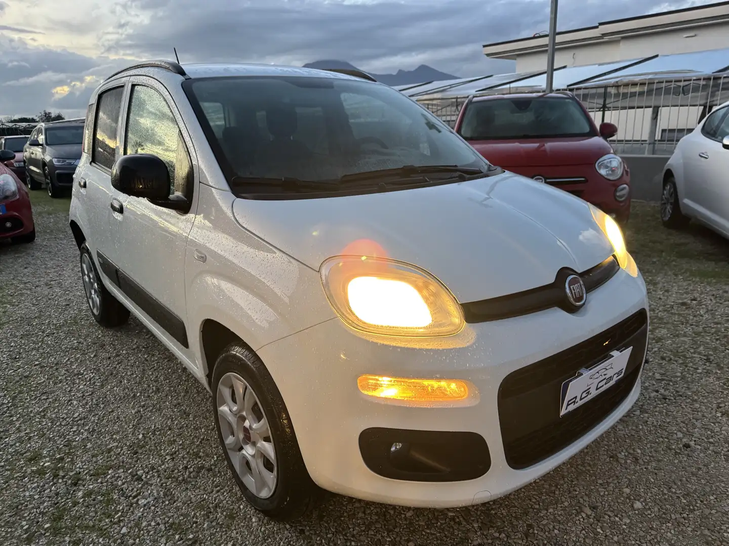 Fiat Panda 0.9 t.air t. natural power Lounge 80cv - 2