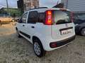 Fiat Panda 0.9 t.air t. natural power Lounge 80cv - thumbnail 4