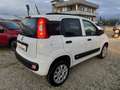 Fiat Panda 0.9 t.air t. natural power Lounge 80cv - thumbnail 3