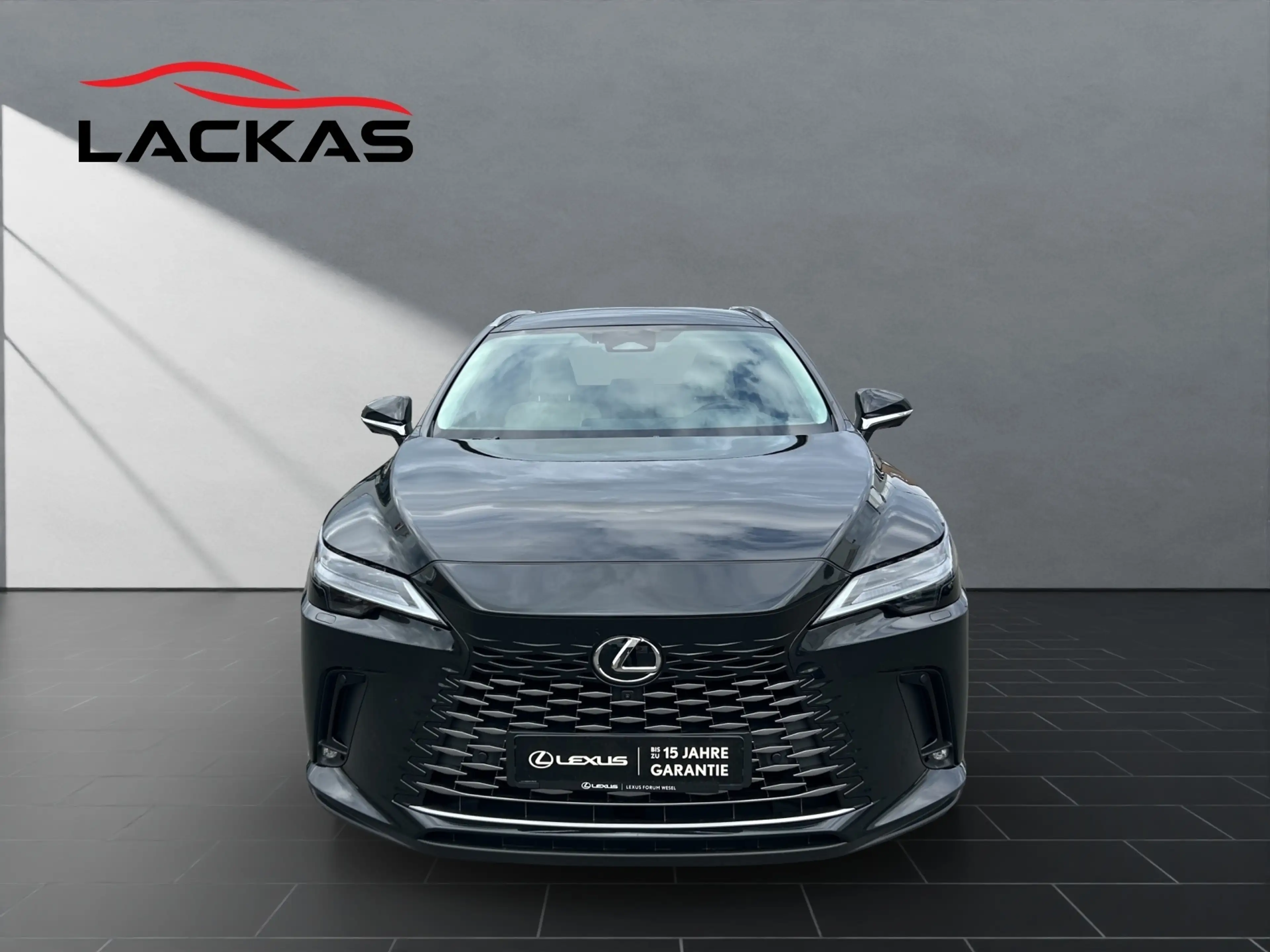 Lexus RX 450h 450 h+ E-Four Luxury Line Panorama — photo 8
