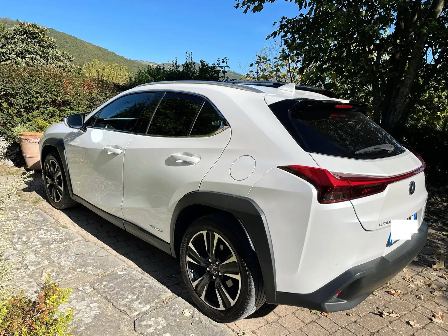 Lexus UX 250h 4wd executive - 2