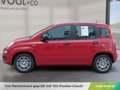 Fiat Panda Fiat Panda Hybrid Rot - thumbnail 2