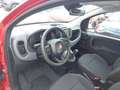 Fiat Panda Fiat Panda Hybrid Rot - thumbnail 16