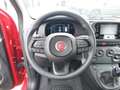 Fiat Panda Fiat Panda Hybrid Rot - thumbnail 12
