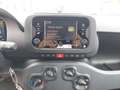 Fiat Panda Fiat Panda Hybrid Rot - thumbnail 9