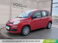 Fiat Panda Fiat Panda Hybrid Rot - thumbnail 1