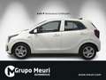 Kia Picanto 1.0 DPi Concept Blanc - thumbnail 14