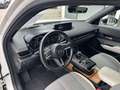 Mazda MX-30 Advantage e-SKY. HUD Navi Memory Sitze LED ACC App Blanc - thumbnail 11