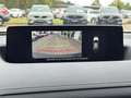 Mazda MX-30 Advantage e-SKY. HUD Navi Memory Sitze LED ACC App Weiß - thumbnail 26