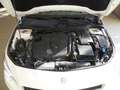 Mercedes-Benz CLA 220 X117 Shooting Brake d (cdi)Premium AMG -AUTOMATICA Weiß - thumbnail 13