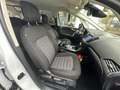 Ford S-Max 2.0 EcoBlue Aut. TITANIUM  ACC AHK NAVI Blanc - thumbnail 7