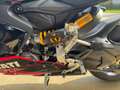 Ducati Panigale V2 SUPERQUADRO FINAL EDITION Rouge - thumbnail 8