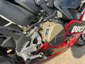 Ducati Panigale V2 SUPERQUADRO FINAL EDITION Rouge - thumbnail 5