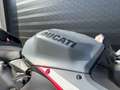 Ducati Panigale V2 SUPERQUADRO FINAL EDITION Rouge - thumbnail 12