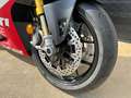 Ducati Panigale V2 SUPERQUADRO FINAL EDITION Rouge - thumbnail 3